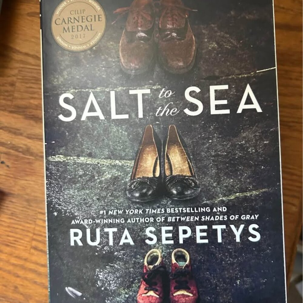 Salt To The Sea
